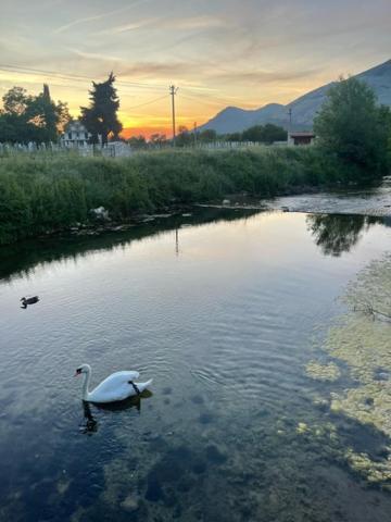 Smjestaj Dada Vila Trebinje Exterior foto