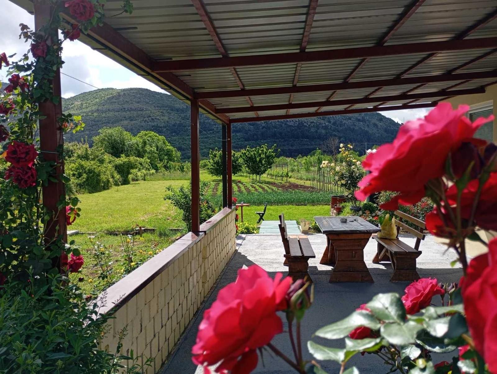 Smjestaj Dada Vila Trebinje Exterior foto