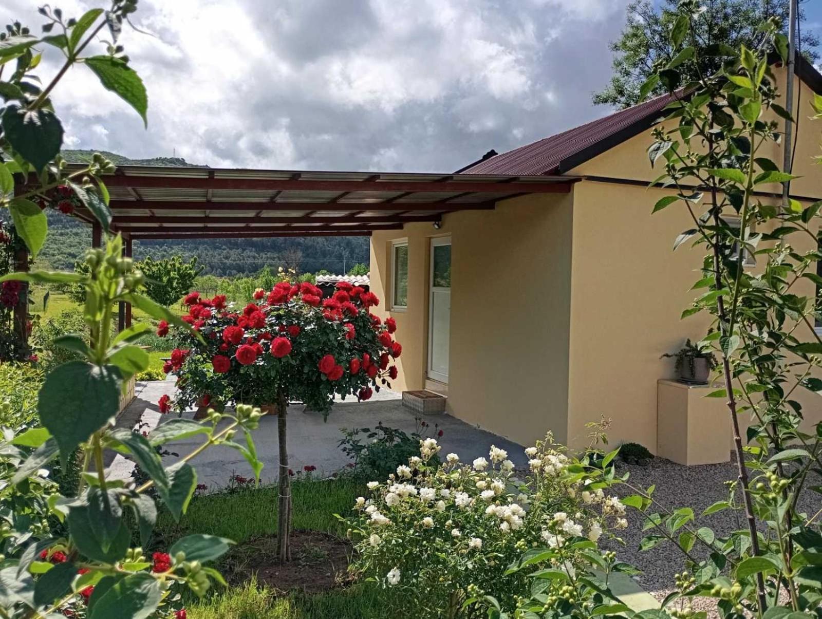 Smjestaj Dada Vila Trebinje Exterior foto